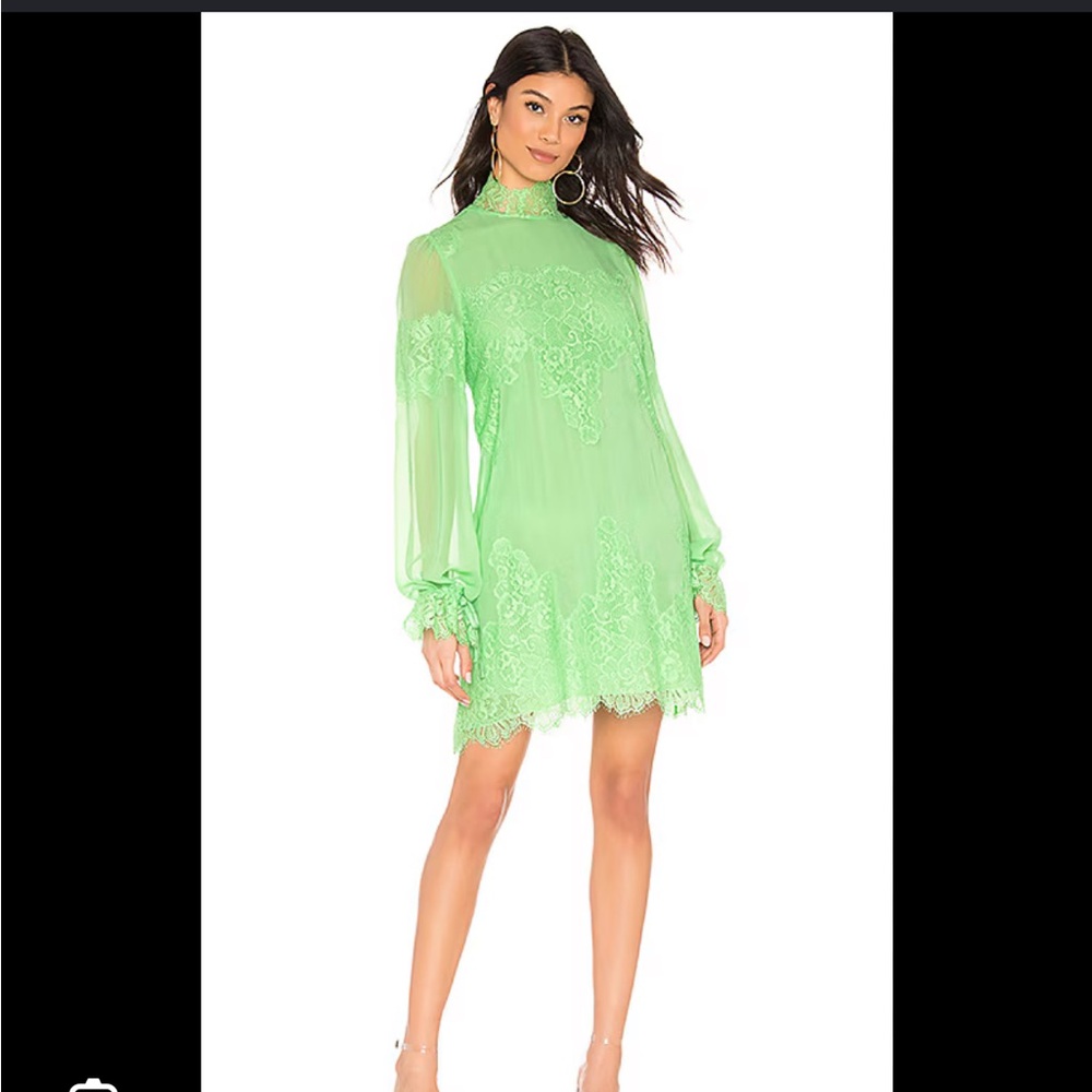 Elegant Lace Long Sleeve Dress in Green